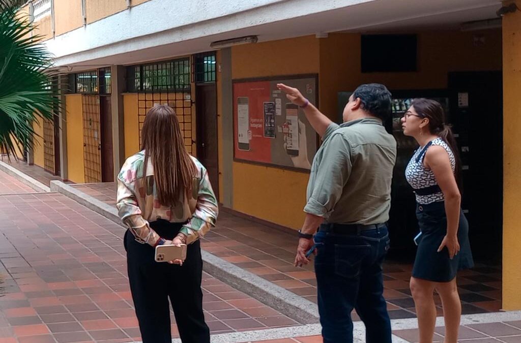 visita inspeccion