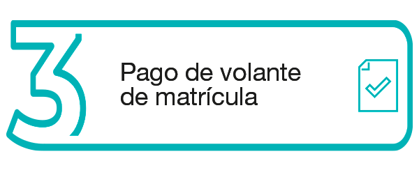 pago-de-volante-de-matricula
