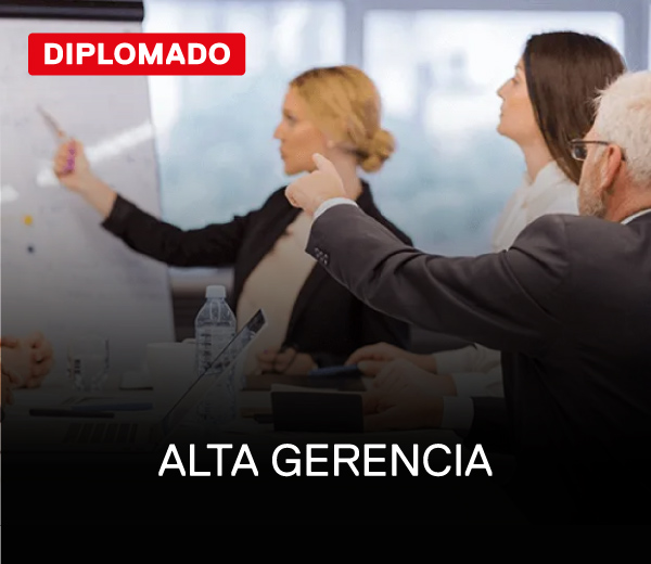 alta gerencia