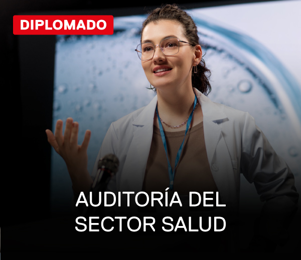 auditoria del sector salud