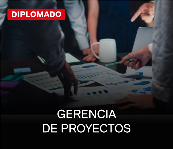 gerencia de proyectos