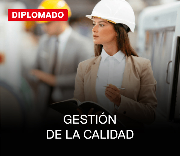 gestión de la calidad