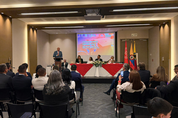 Formación